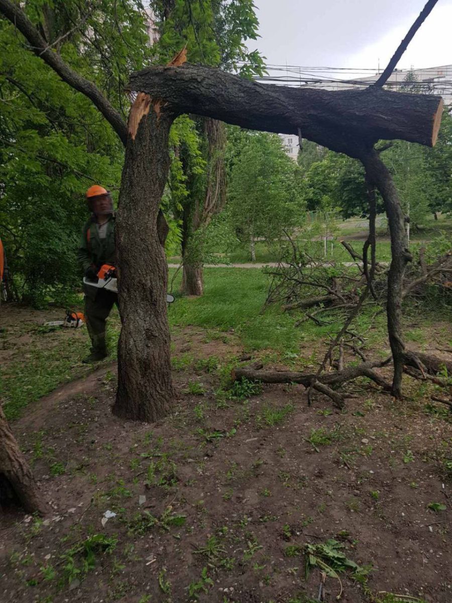 Повалив дерева та пошкодив дахи шквальний вітер у Харкові